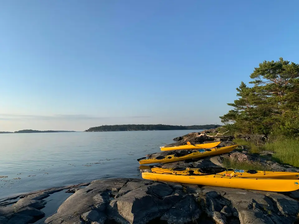 Gula kajaker på klipporna i skärgården