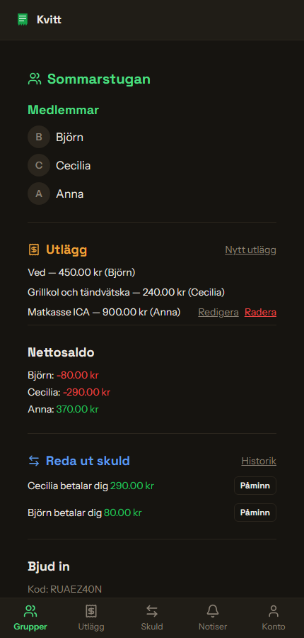 Gruppvy med utlägg, nettosaldo och föreslagna uppgörelser